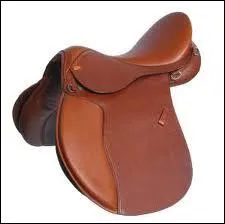 Quelle partie n'est pas sur la selle ?