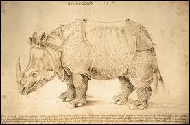 Qui a peint ce rhinocros ?