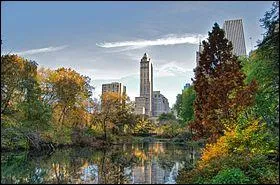 Vous y trouverez srement Toupou, une jeune fille sauvage qui y habite, selon un dessin anim :