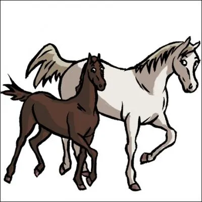 Qui gagne le pur-sang ?