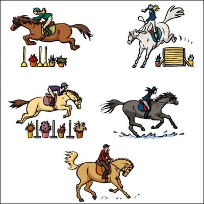 Qui trouve l'ide du projet de la fdration chez les Miss ?