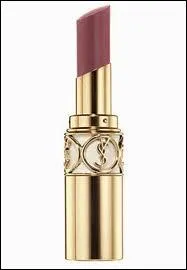 De quel roman s'agit-il ?