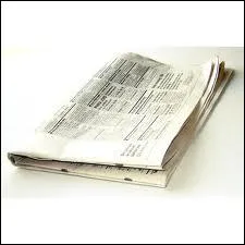 De quel roman s'agit-il ?