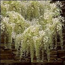 De quel roman s'agit-il ?