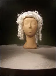 De quel roman s'agit-il ?