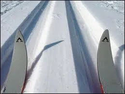 De quel roman s'agit-il ?