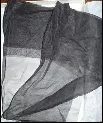 De quel roman s'agit-il ?