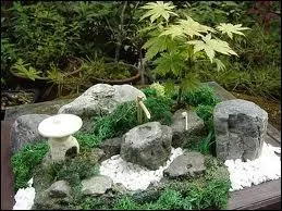 De quel roman s'agit-il ?