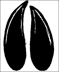 On peut nous rendre telle qu'elle :