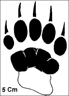 Son nom peut tre une insulte qui ne vous fait pas mousser :