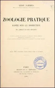 La malacologie une branche de la zoologie qui tudie...