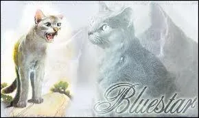 Quel tait le nom de guerrire d'toile Bleue ?