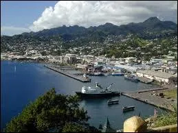Quelle est la capitale de Saint-Vincent-et-les-Grenadines ?
