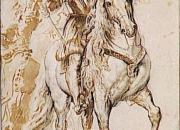 Quiz Anes et chevaux (1)