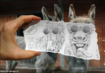 Qui se cache derrire ce dessin ?