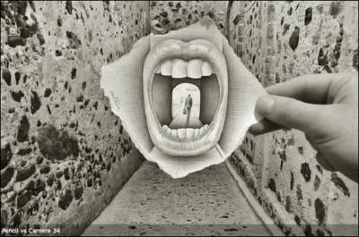 Que voit-on sur cette photo, en l'agrandissant ?