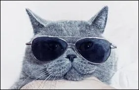 Dans une fable, Raminagrobis est associ  ...