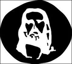 Regardez cette image environ trentes secondes, puis fixez vos yeux sur du blanc. Que voyez-vous ?