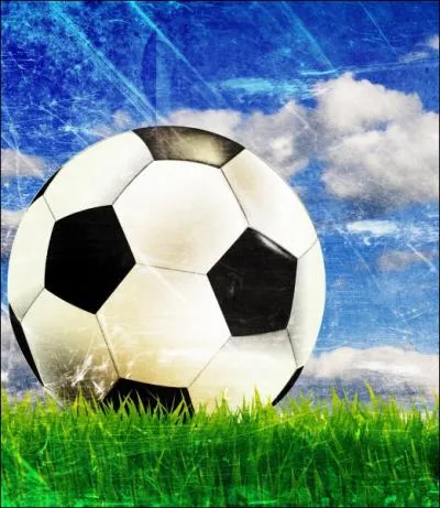 Parmi les dterminants possessifs suivants, quel est le seul qui ne peut pas convenir dans cette phrase ? 'Ils ne veulent pas jouer avec ___ ballon. '