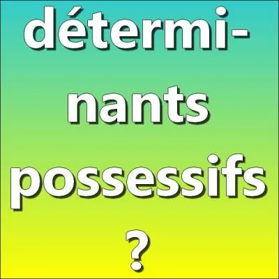 Parmi les dterminants suivants, lesquels sont des dterminants possessifs ?