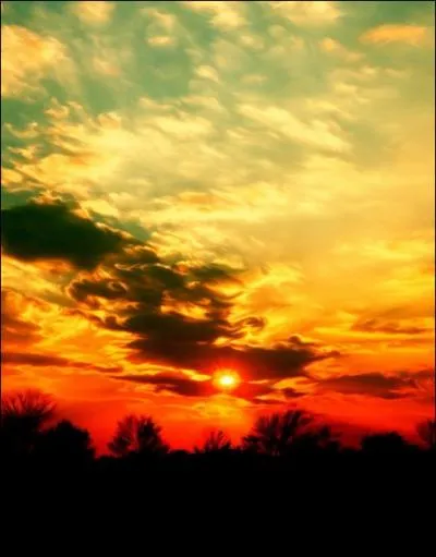 Dans ce petit texte extrait du 'Livre de la Jungle', place les dterminants qui correspondent. 'Il tait sept heures, par ___ soir trs chaud, sur ___ collines de Seeonee. '