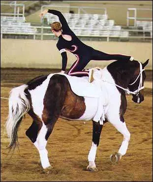 Quelle est cette activit questre ?