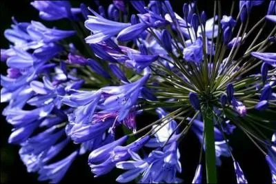 Comment l'appelle-t-on ?