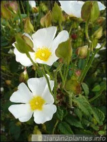 Comment l'appelle-t-on ?