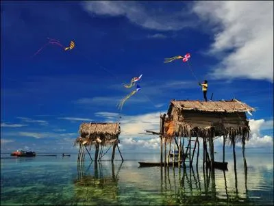 On peut associer un mot  cette image !