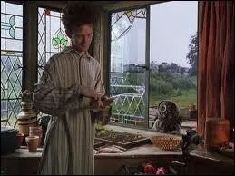 Qui est cet hibou sur le rebord de la fentre ?