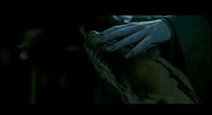 Comment s'appelle ce serpent ?