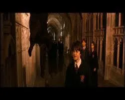 Comment se nomme ce chat ?