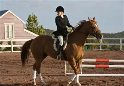 Comment s'appelle la jument de Vronica ?