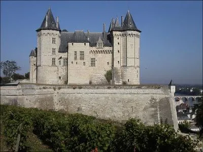 Quel est ce chteau qui surplombe la Loire, forteresse du XIIIe sicle, ancien Palais des ducs d'Anjou ?