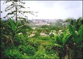 De quel pays Yaound est-elle la capitale ?