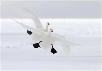 On peut le faire de la main, mais a ne s'crit pas de la mme faon !