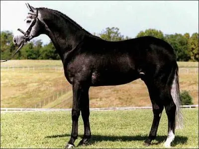 Et enfin, comment s'appelle celle-ci ?