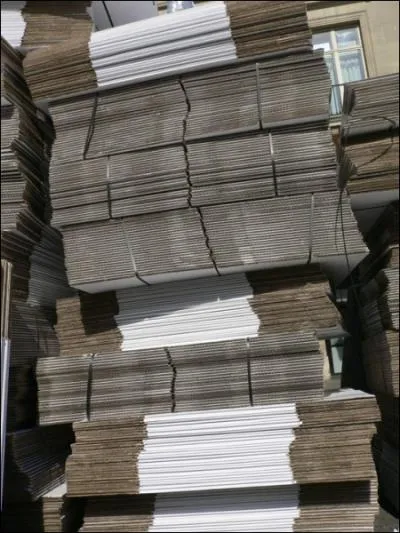 Expos du 5 au 24 avril 2011 au sein de Ma Premire Galerie, l'Atlas a ralis une performance artistique en crant un labyrinthe gant avec les enfants avec 2262 cartons. O s'est-elle droulé