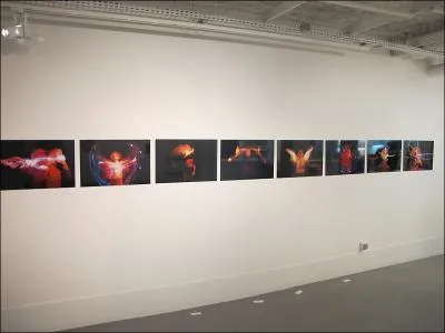 Ancien graffeur, Marko 93 a prsent son travail au sein de Ma Premire Galerie du 17 mai au 5 juin 2011. Quelle technique utilise-t-il ? 