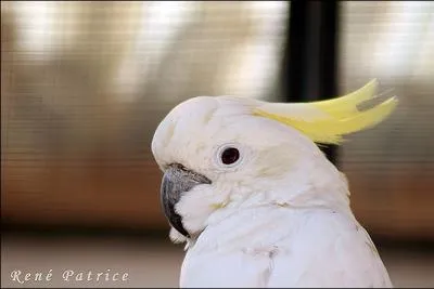 Et enfin, celui-ci ?