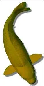 Quel nom porte cette varit ?