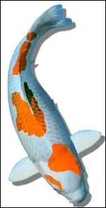 Quel nom porte cette varit ?