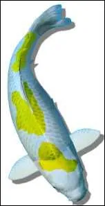 Quel nom porte cette varit ?