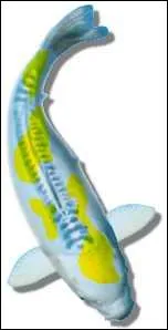 Quel nom porte cette varit ?