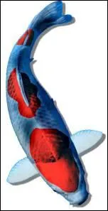 Quel nom porte cette varit ?