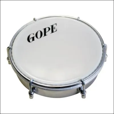 Quel instrument est-ce ?