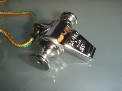 Quel instrument est-ce ?