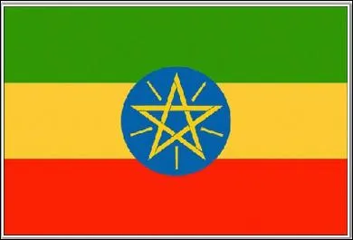 Quel est le pays qui a pour drapeau celui-ci ?