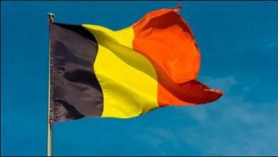 Champions belges d'une autre re, dans quel sport se sont-ils illustrs : Odile Defraye (1912), Philippe Thys (1913-14-20) et Firmin Lambot (1919-22) ? .