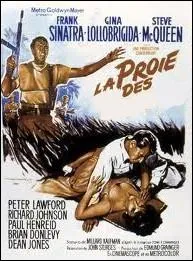 Moines ou fauves, ils tournoient dans le ciel ... . .